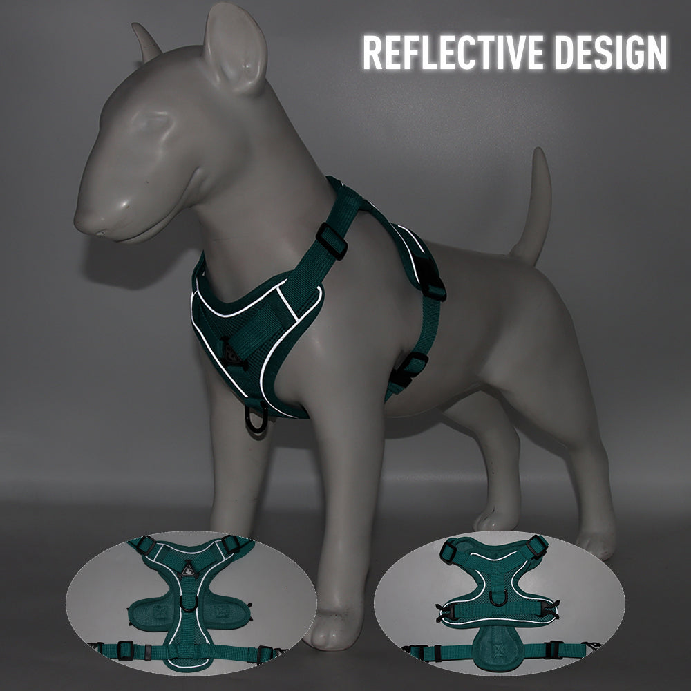 Dog Harness Set