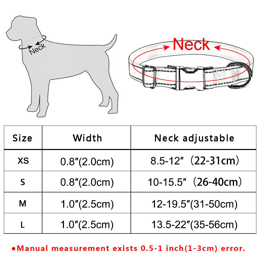 Personalized Dog Collar with Nameplate for All Breeds