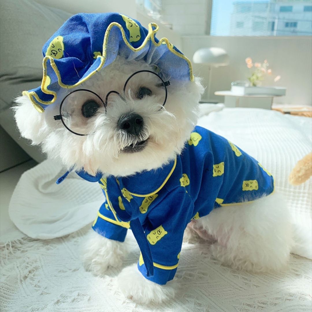 Korean Spring Cute Candy Bear Pajama Set for Dogs