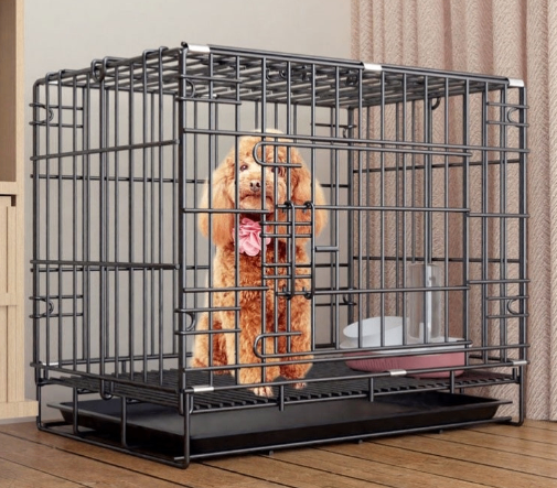 Indoor Fenced Corgi Kennel for Detached Homes