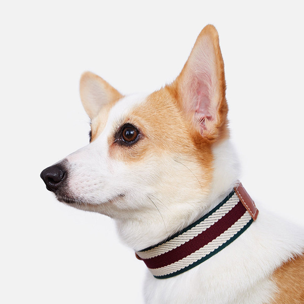 Woven Adjustable Pet Collar Neck Sleeve