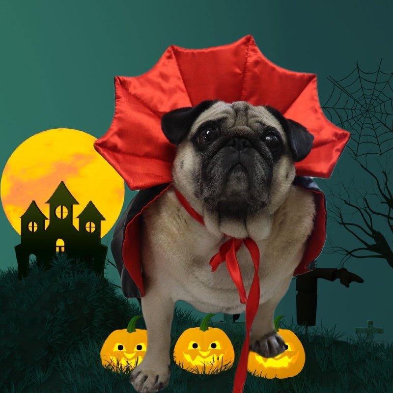 Personalized Trendy Dog Cloak for Holidays & Parties