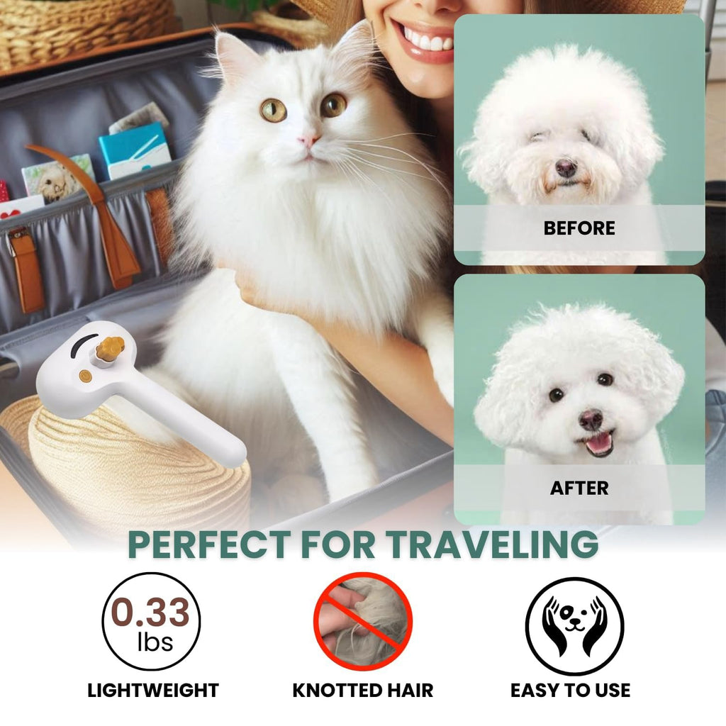 Pet Steam Slicker Brush with Spray