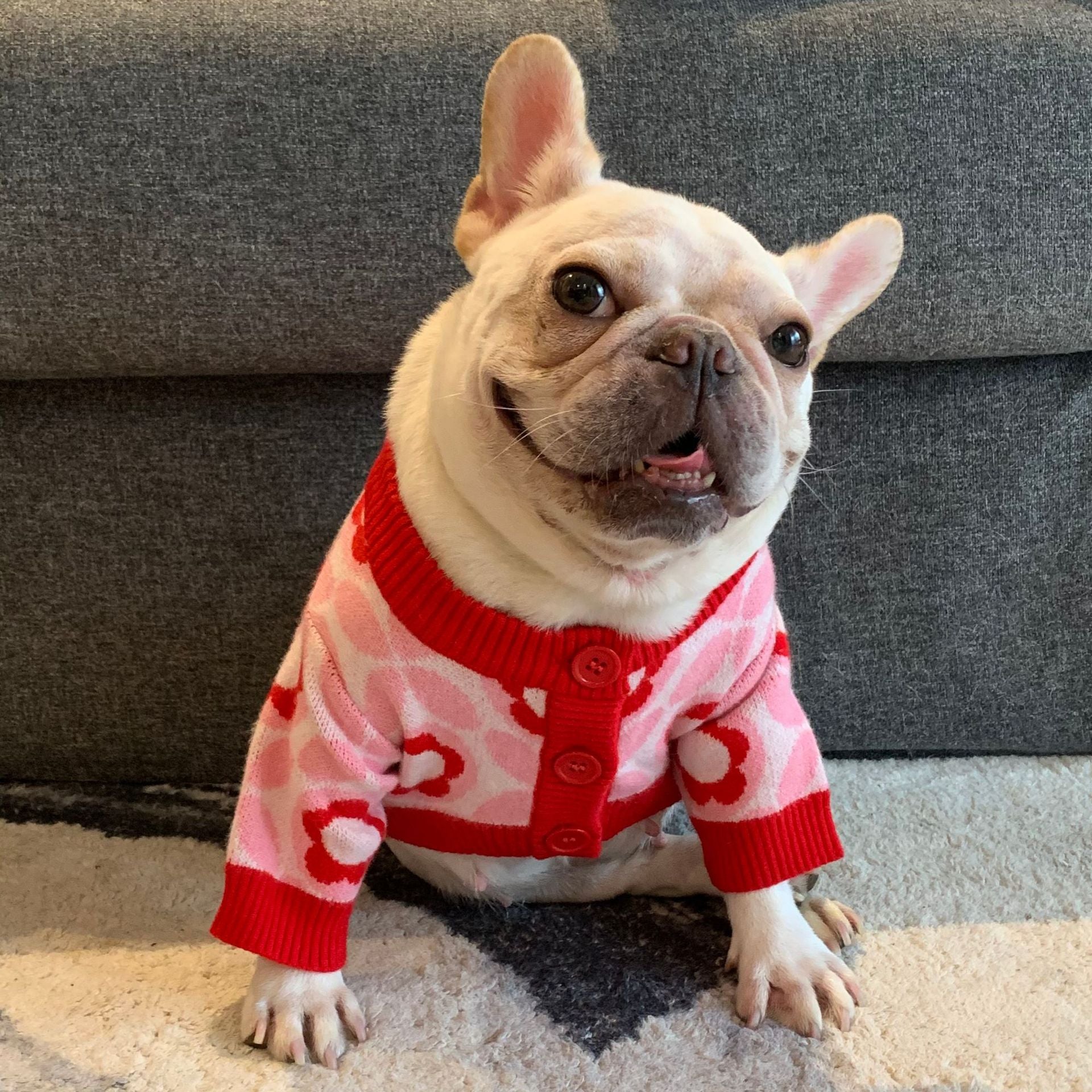 Dog Jacquard Sweater for Autumn and Winter