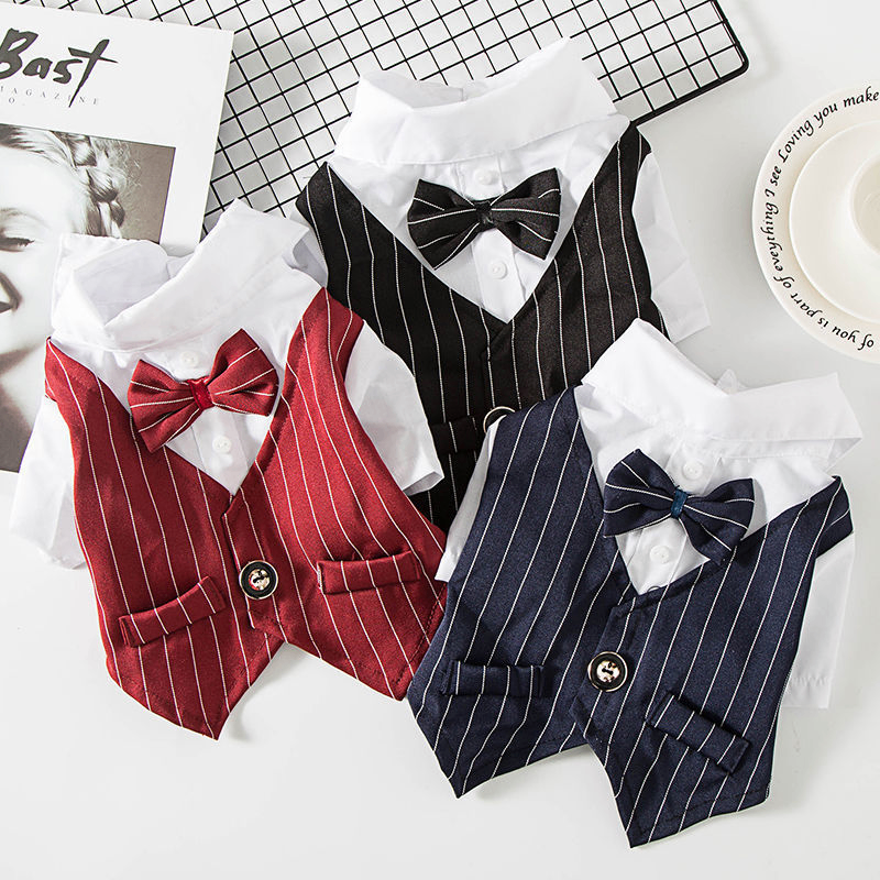 Creative Simple Dog Suit Shirt Coat