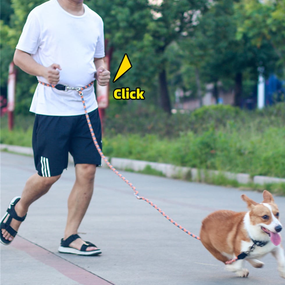 Multifunctional Oblique Cross Waist Dog Traction Rope