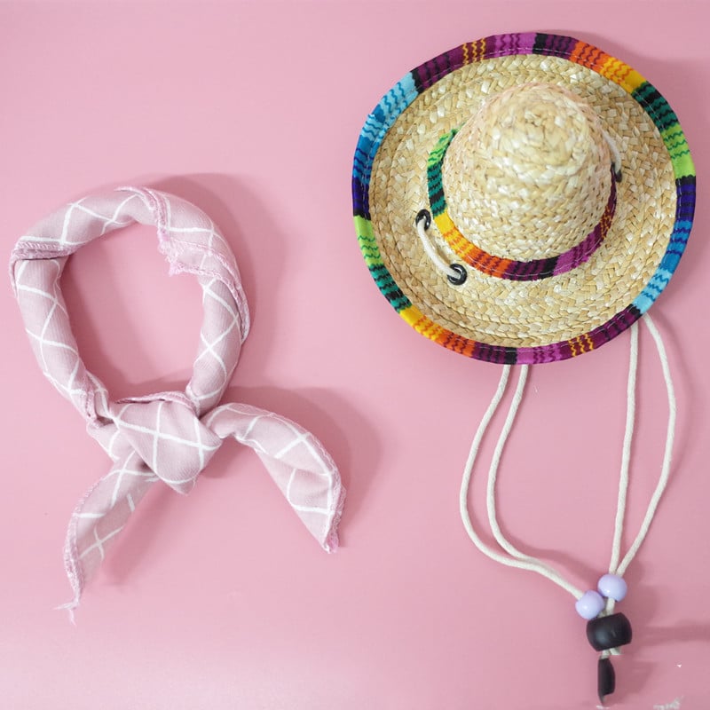 Summer Outing Set for Pet Accessories