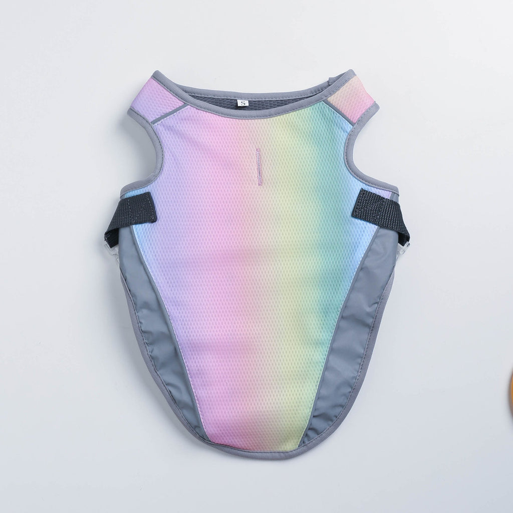 Cooling Dog Clothes for Summer Adventures