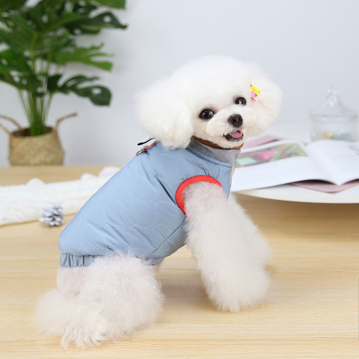 Puppy Velvet Vest for Autumn and Winter Dog Clothing
