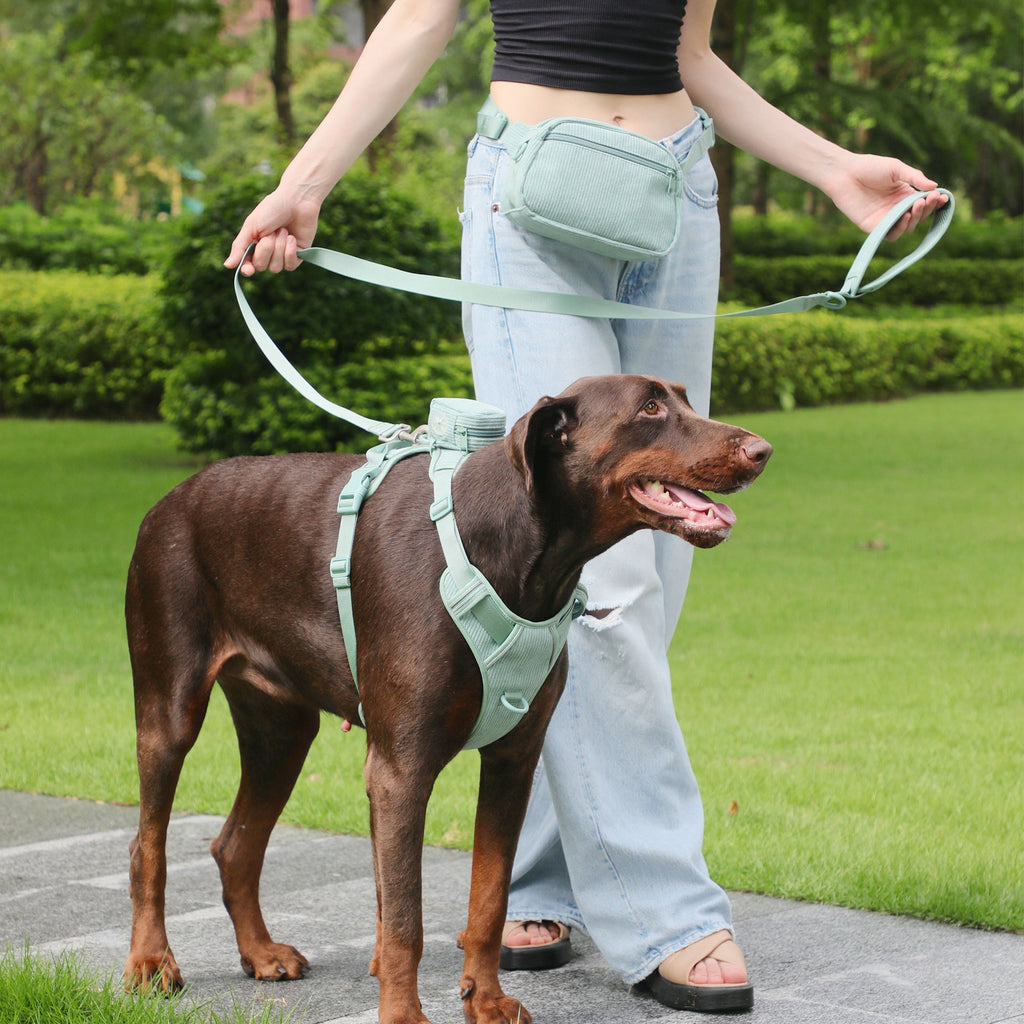 Pet Vest with Collar
