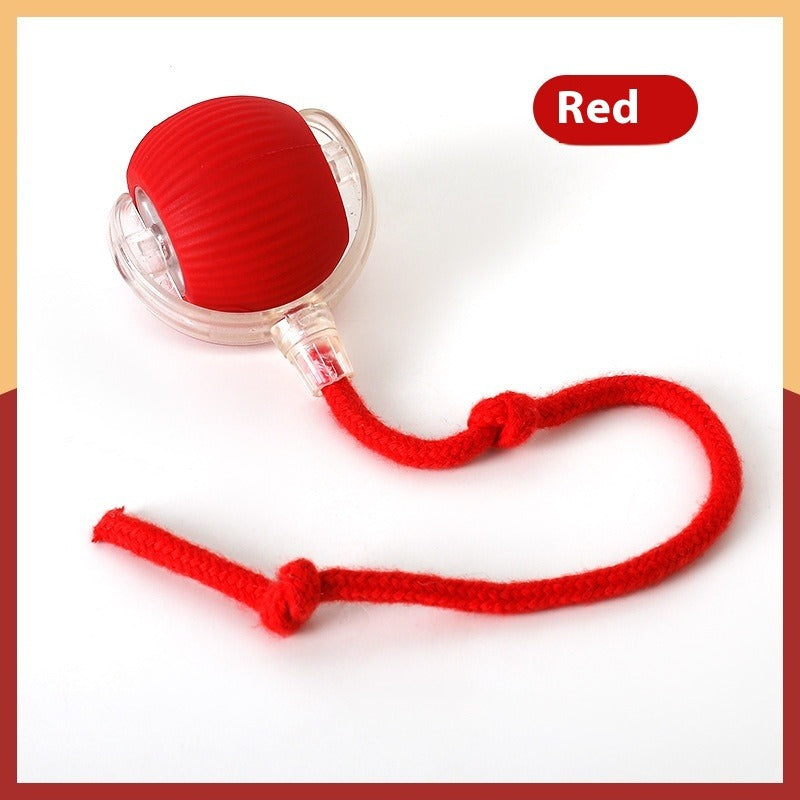 Cat Rolling Toy Ball