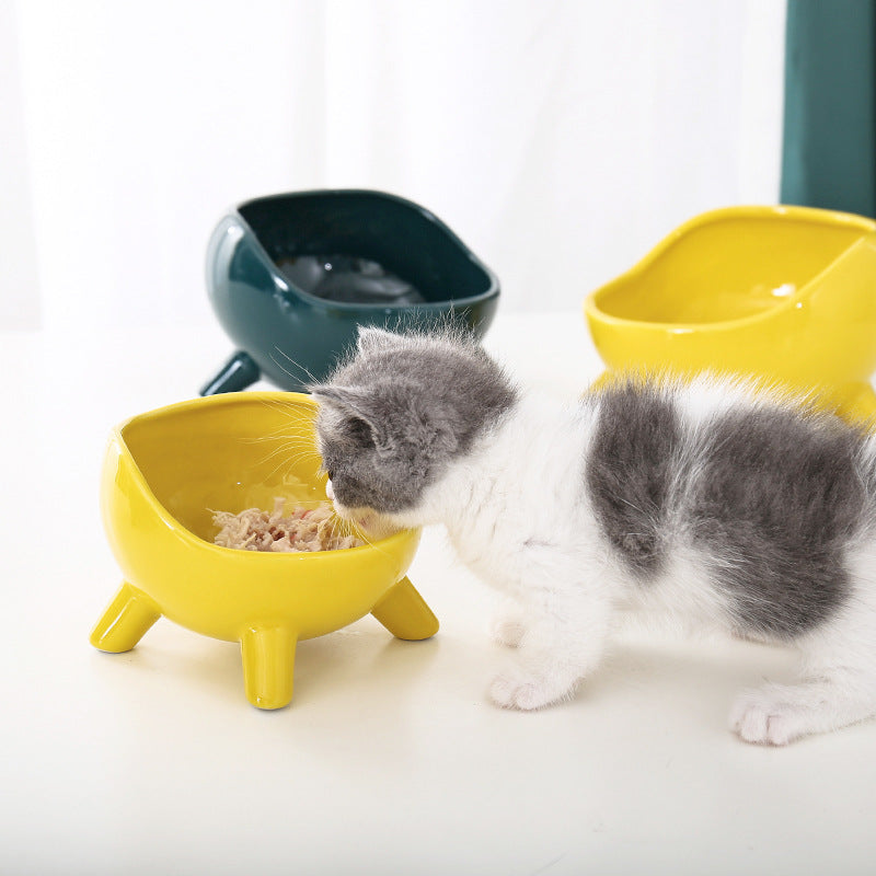 Ceramic Cat Bowl with Neck Support for Pets