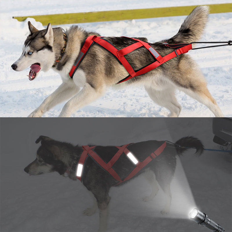 Tow Rope Dog Pull Cart Trailer with Collar