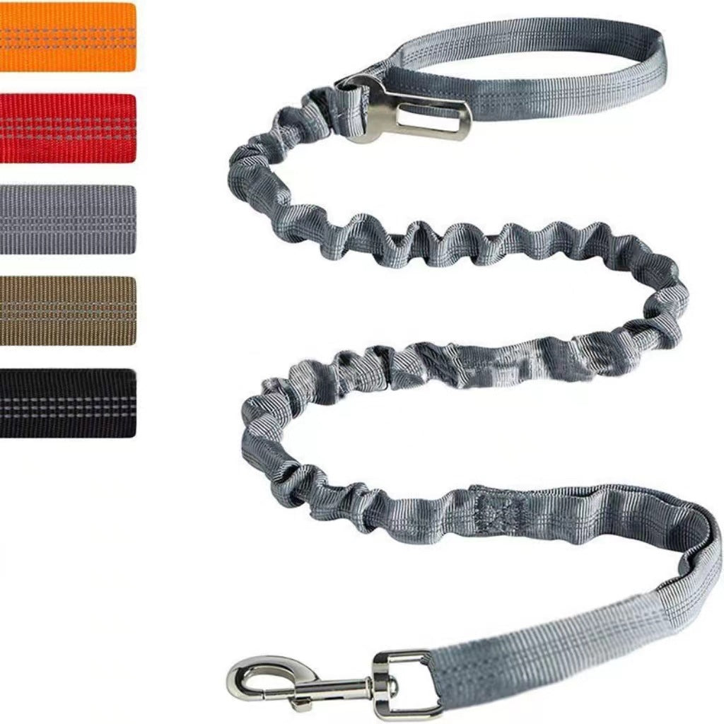Reflective Polyester Dog Leash