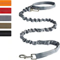 Reflective Polyester Dog Leash