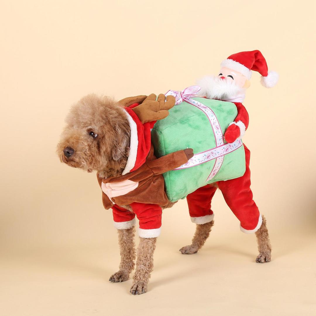 Santa Gift Box Pet Costume for Dogs - Winter Outfit