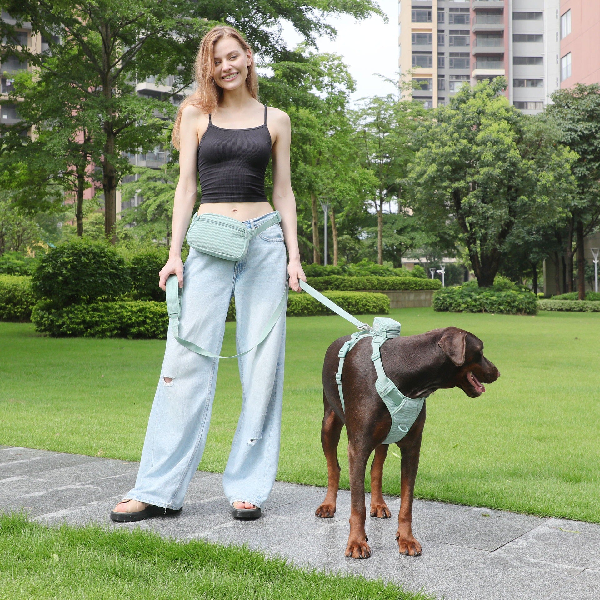 Pet Vest with Collar