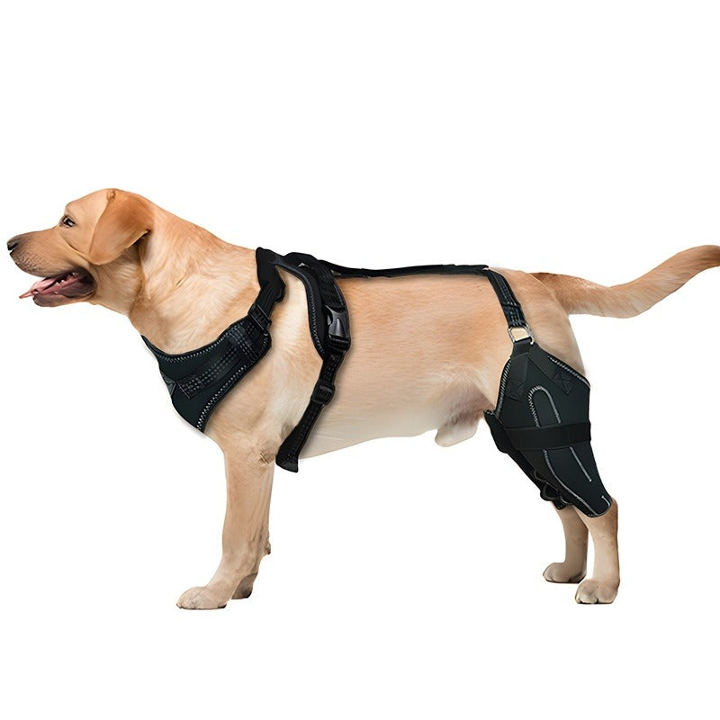 Dog Thigh Protective Sleeve with Metal Support