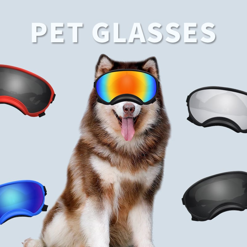 Ski Goggles for Dogs with Wind Protection