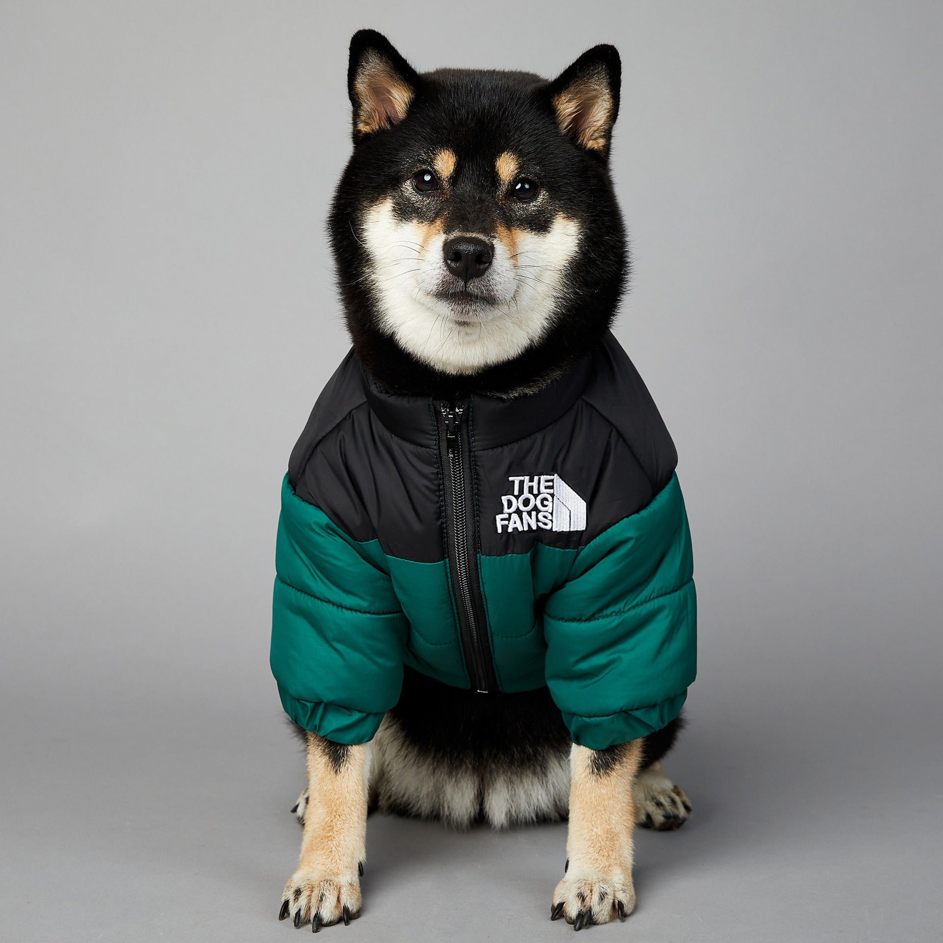 Windproof Winter Dog Coat