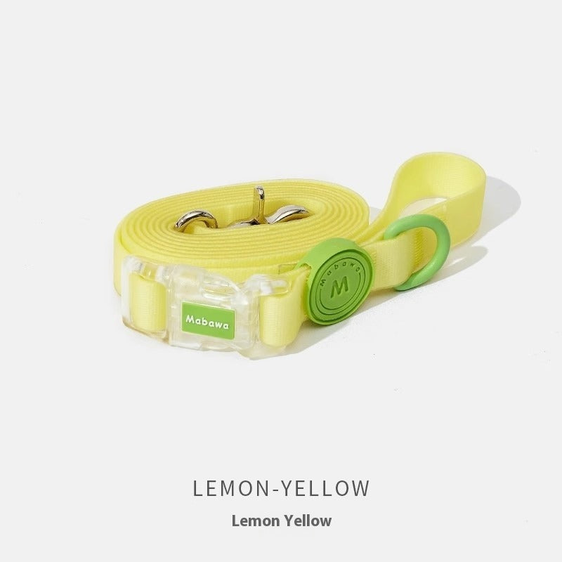 Dog Collar