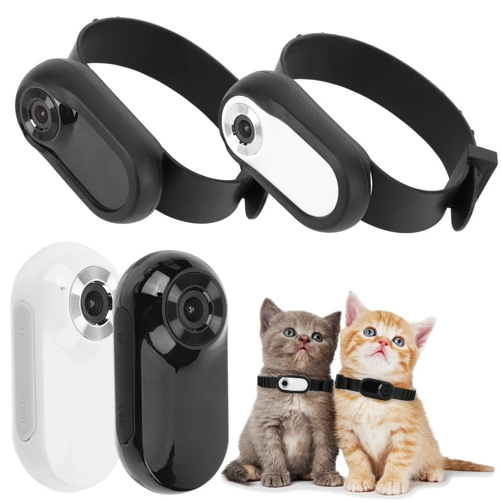 Pet Collar Camera HD