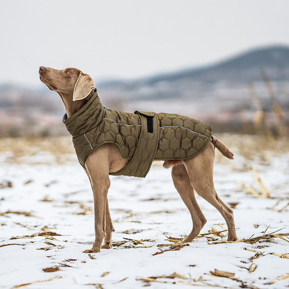 Thick Winter Pet Dog Coat