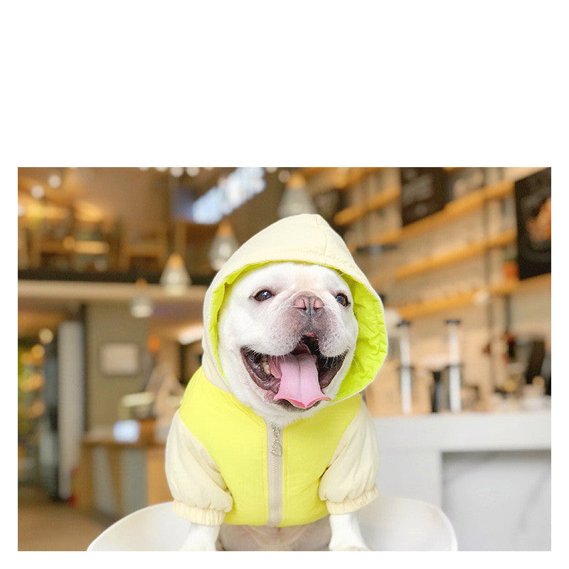 New Winter Cotton Clothing for Dogs