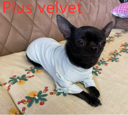 Pet Bottoming Shirt for Small Dogs