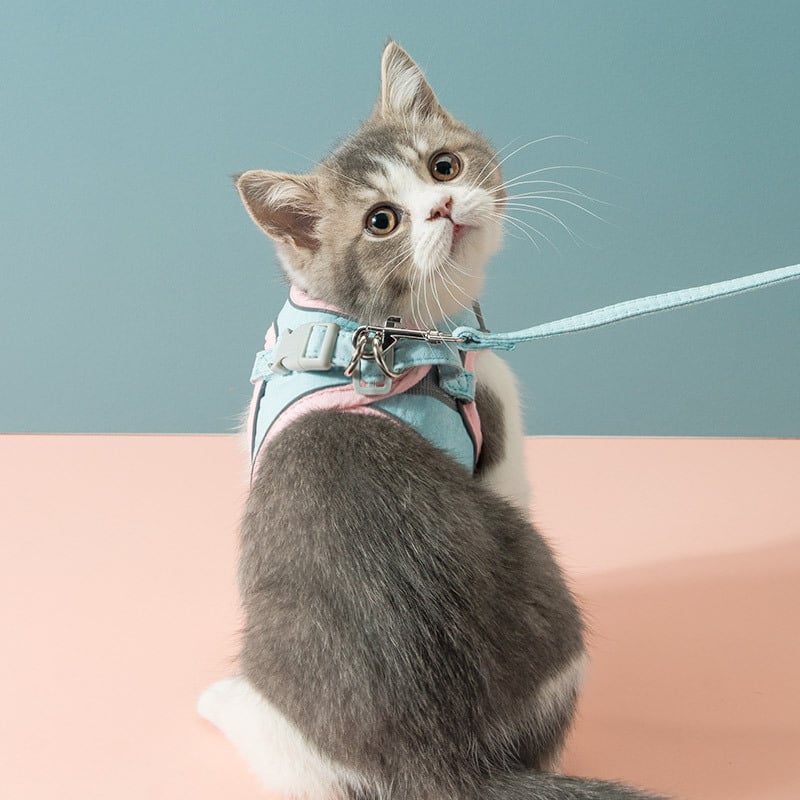 Cat Traction Rope Chest Strap for Secure Pet Control
