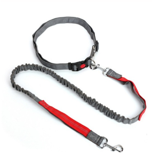 Dog Leash and Tethering Rope for Pets