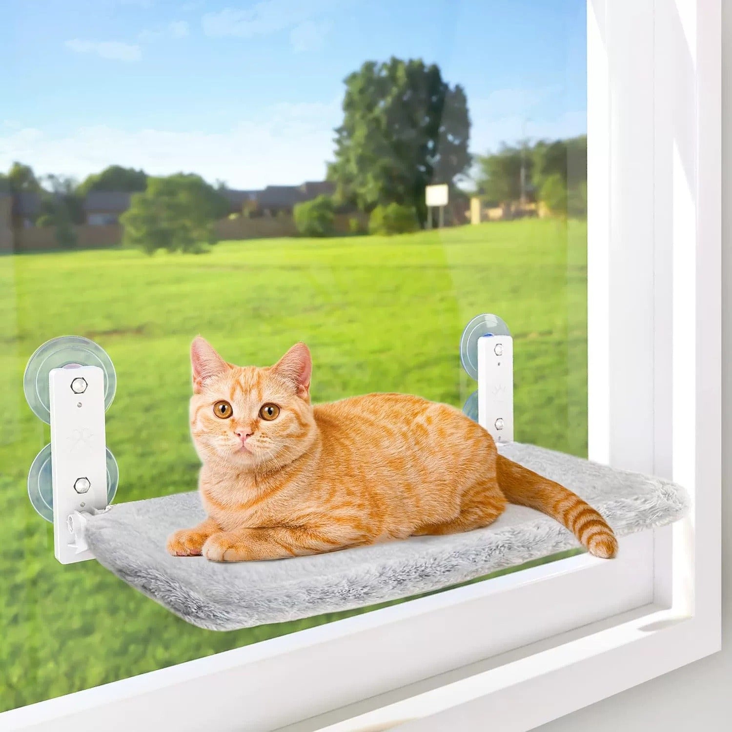 Hanging Cat Nest