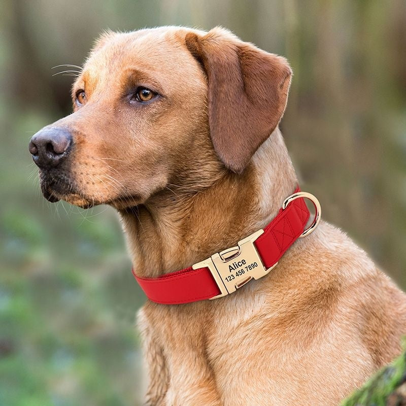 Gold Anti-Loss Dog Tag for Pets