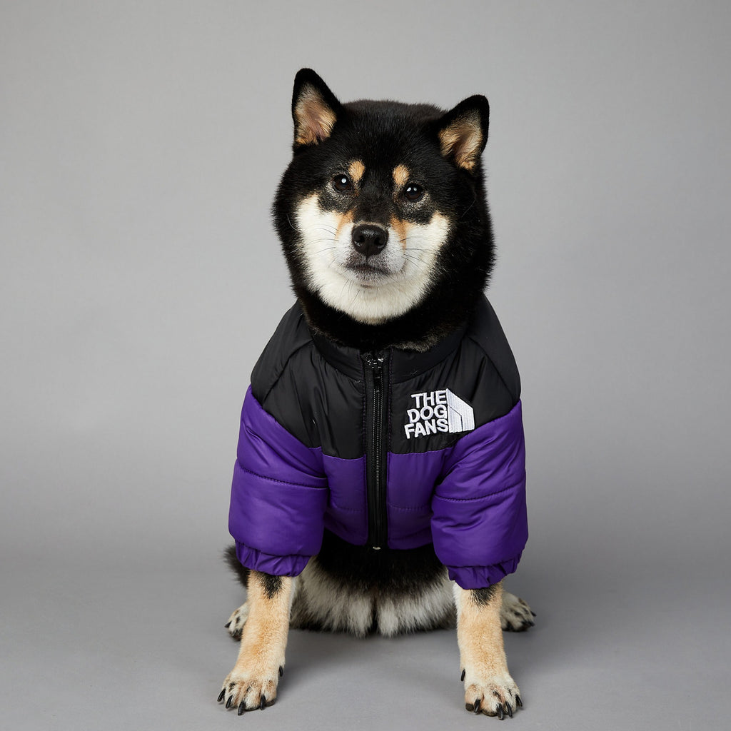 Winter Dog Rainproof Warm Jacket