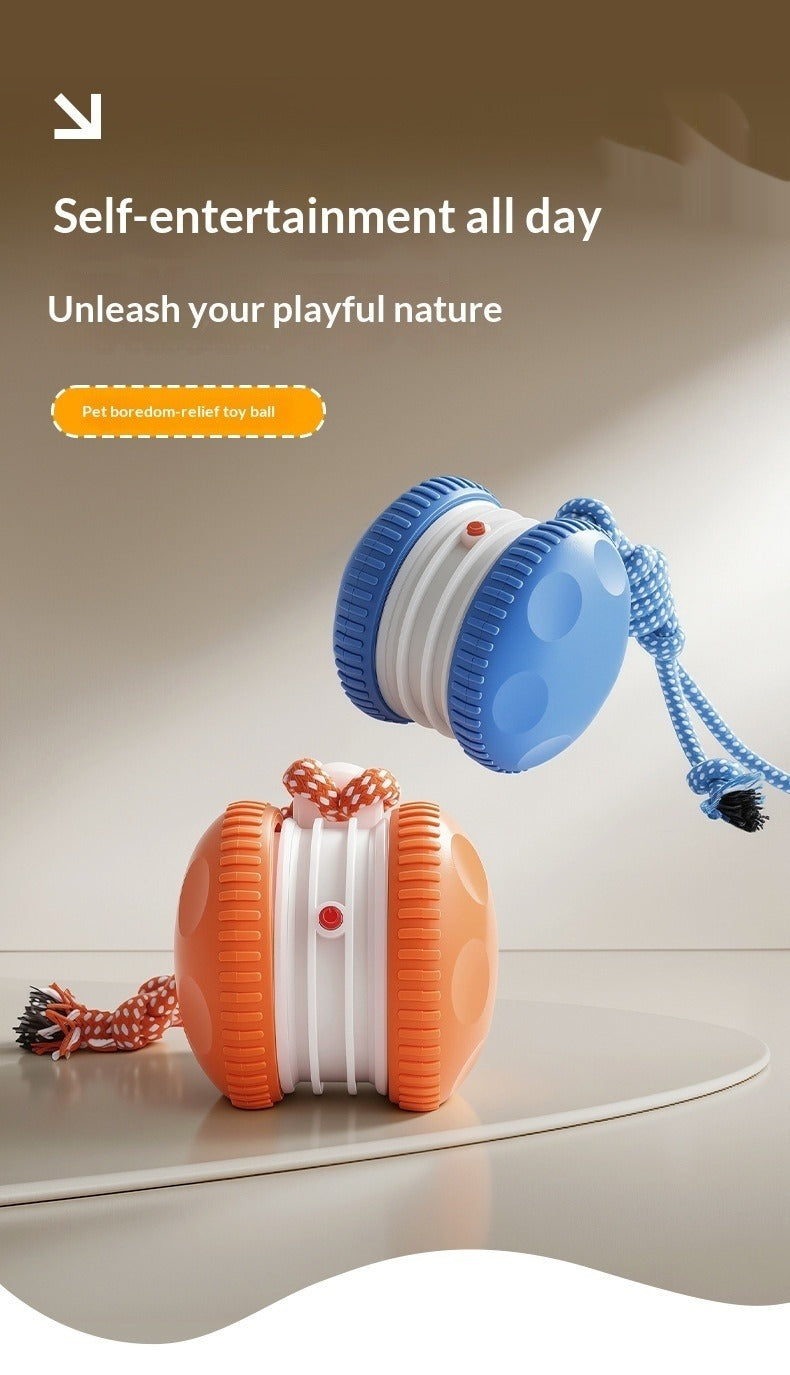 Pet Rolling Ball Toy