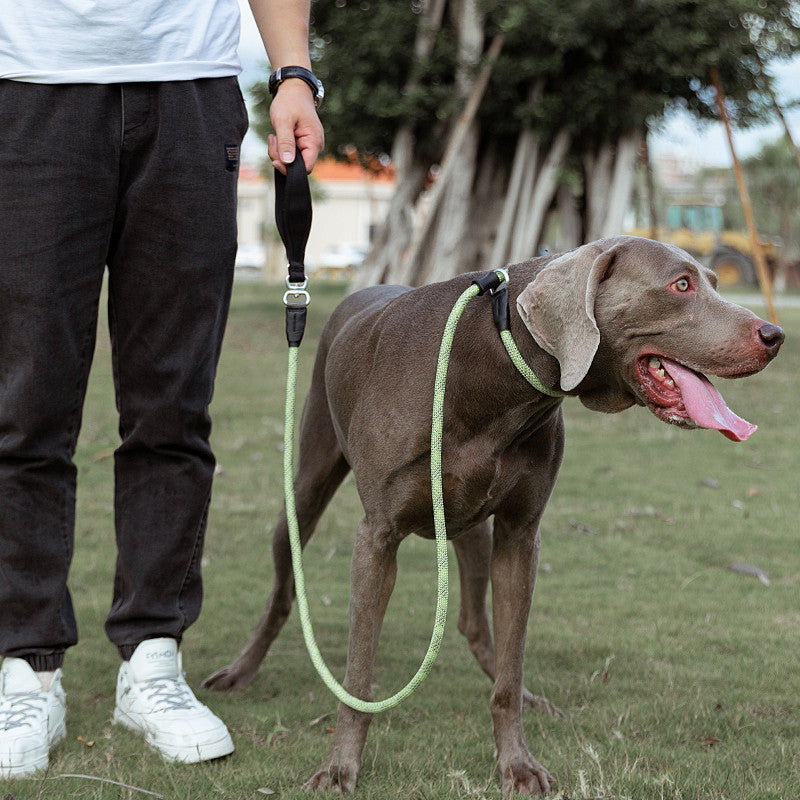 Fashionable Simple Dog Leash with Explosion-proof Design