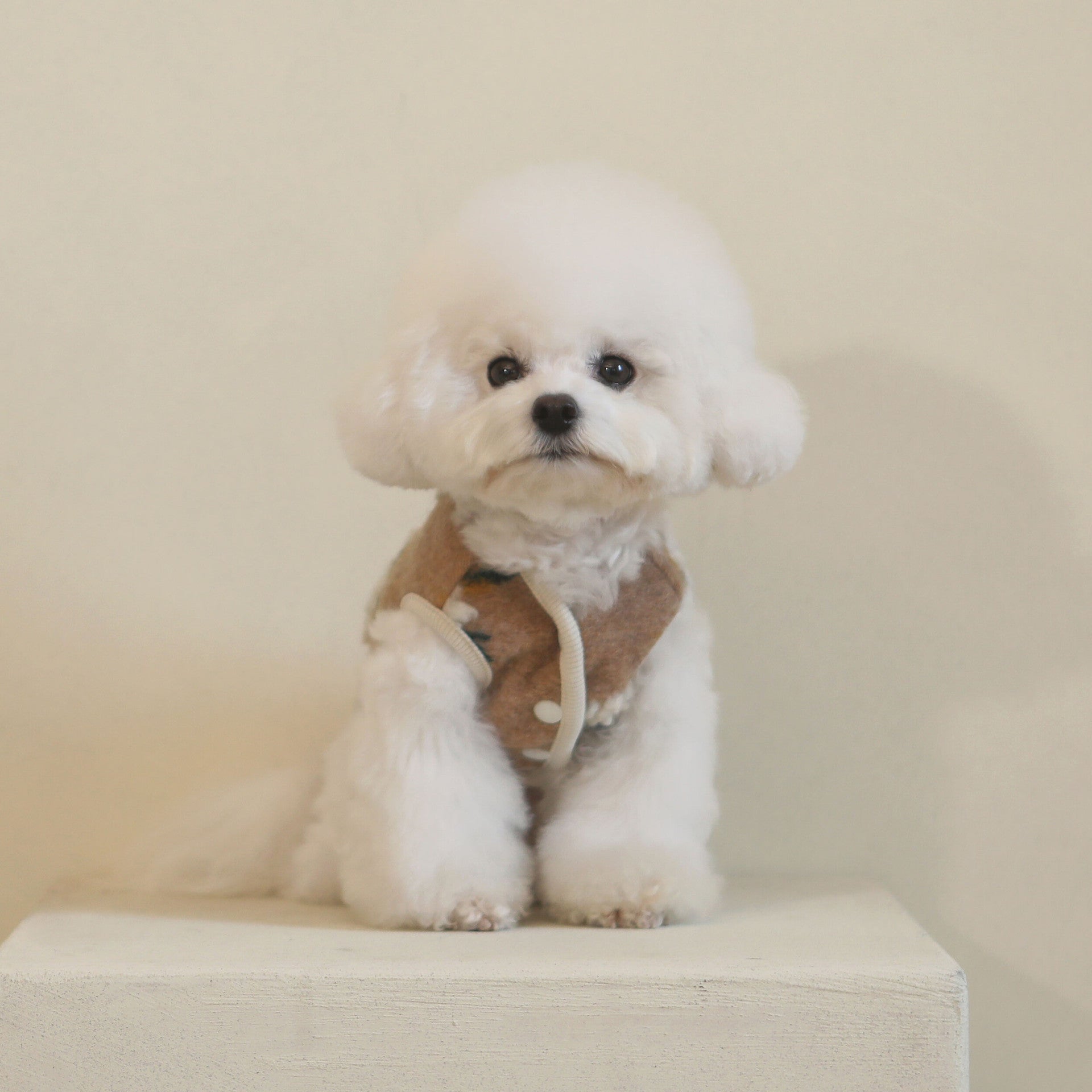 Warm Lamb Wool Flower Dog Sweater