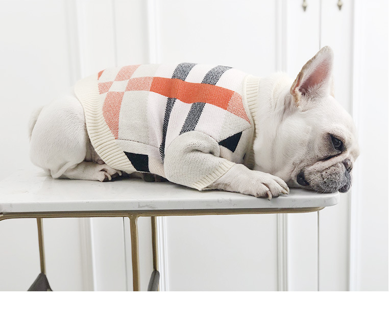 Fashionable Winter Sweater for Dogs and Pets