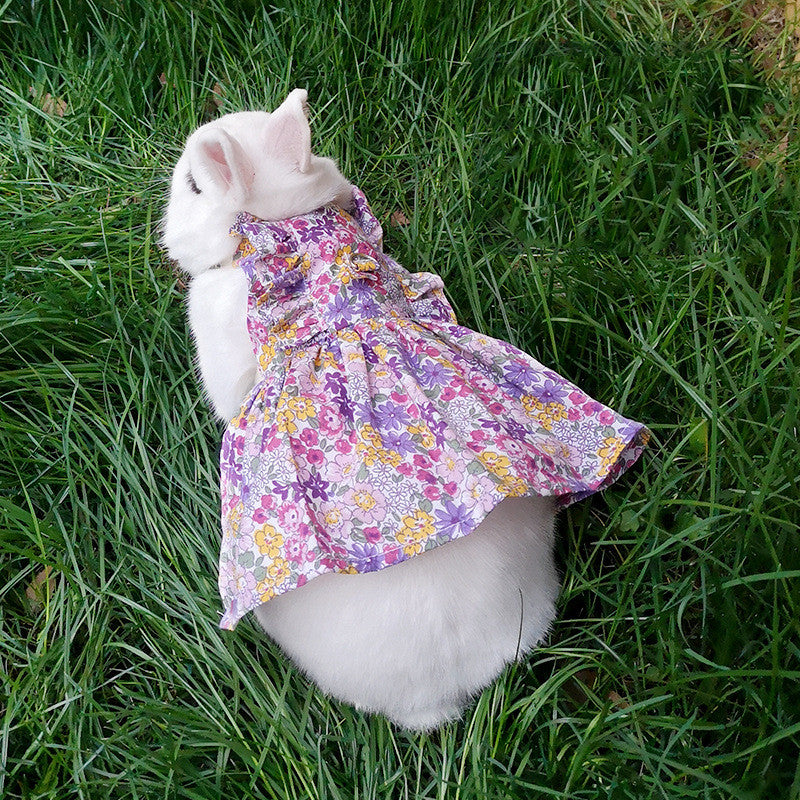 Leash for Bunny, Kitten, Cat, and Lop-Eared Rabbit