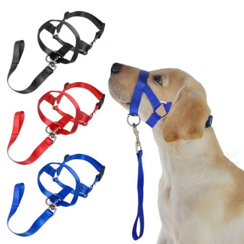 Dog Muzzle & Leash, Nylon