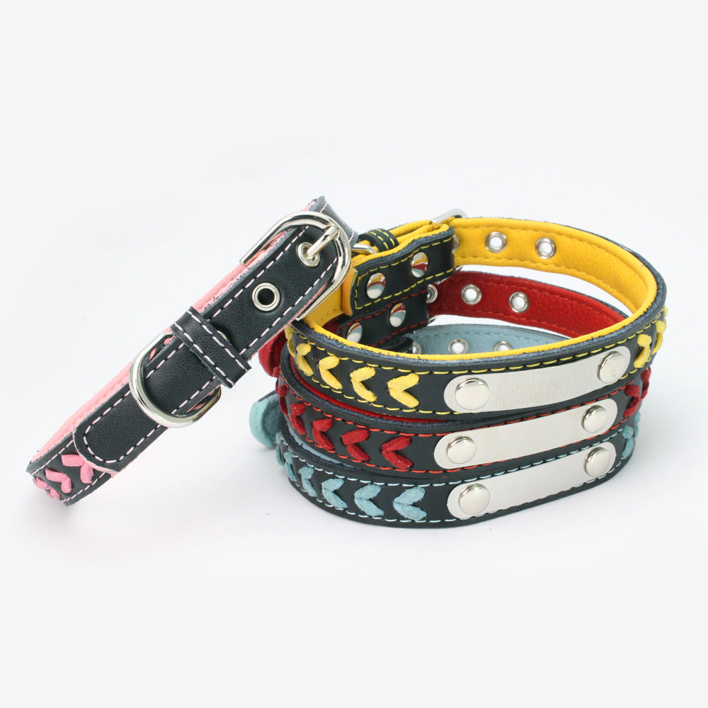 Stainless Steel Dog Collar with Colorful Leather Leash