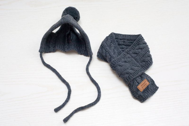 Trendy Pet Apparel Set with Hat and Scarf for Dogs