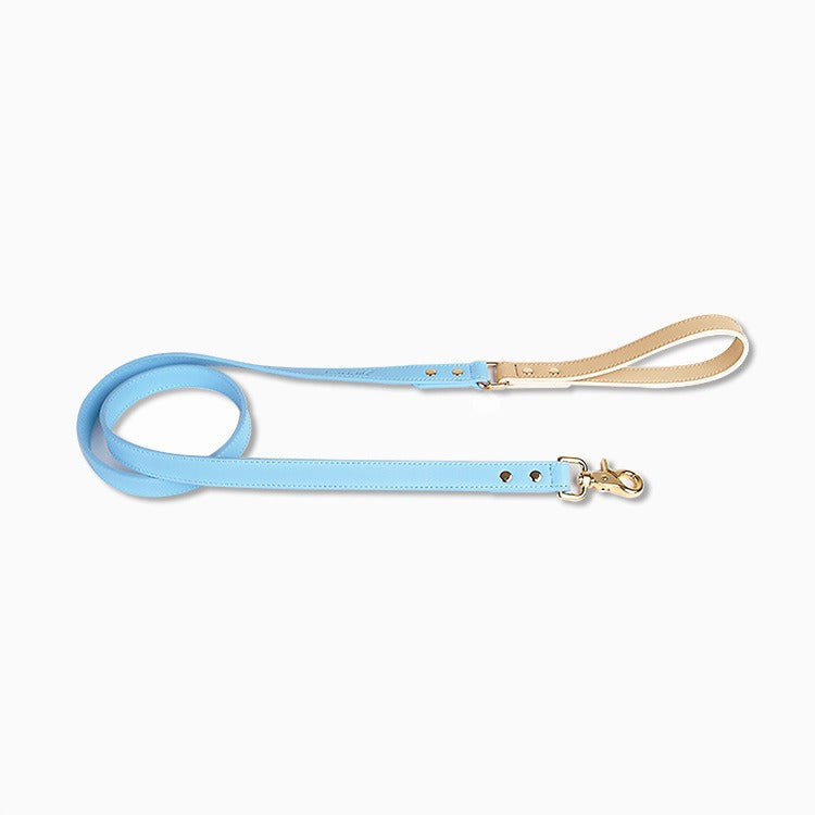 Leather Dog Leash and Collar Set
