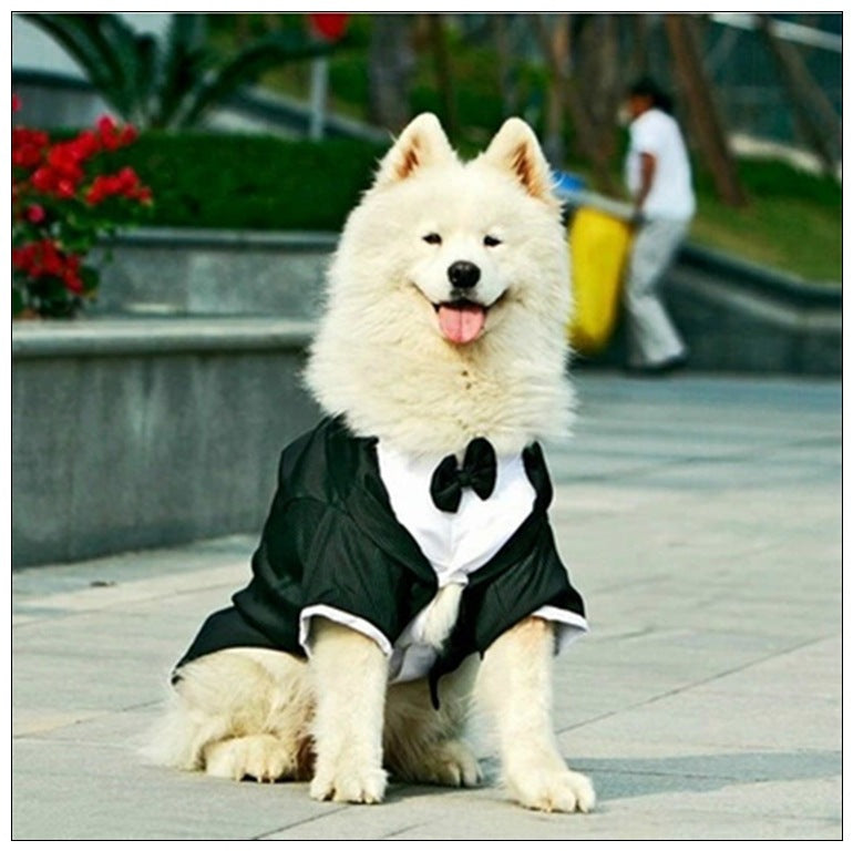 Wedding Suit for Dogs - Fall & Winter Pet Clothing