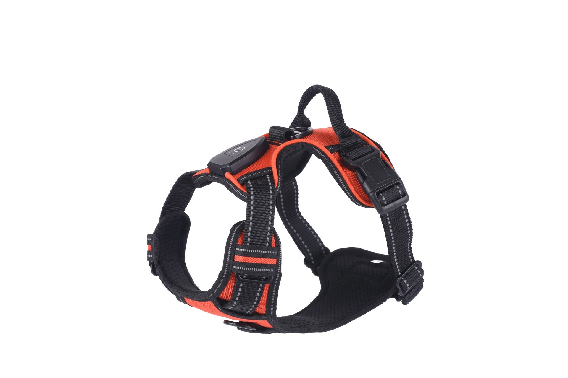 Luminous Dog Vest