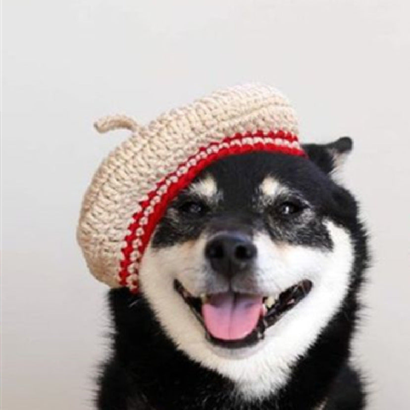 Cute DIY Mini Hand-Knitted Mixed Color Beret for Pets
