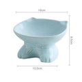 Ceramic Pet Bowl for Dogs and Cats with Anti-Spill Design