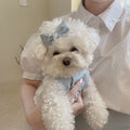 Lace Skirt for Dogs and Cats