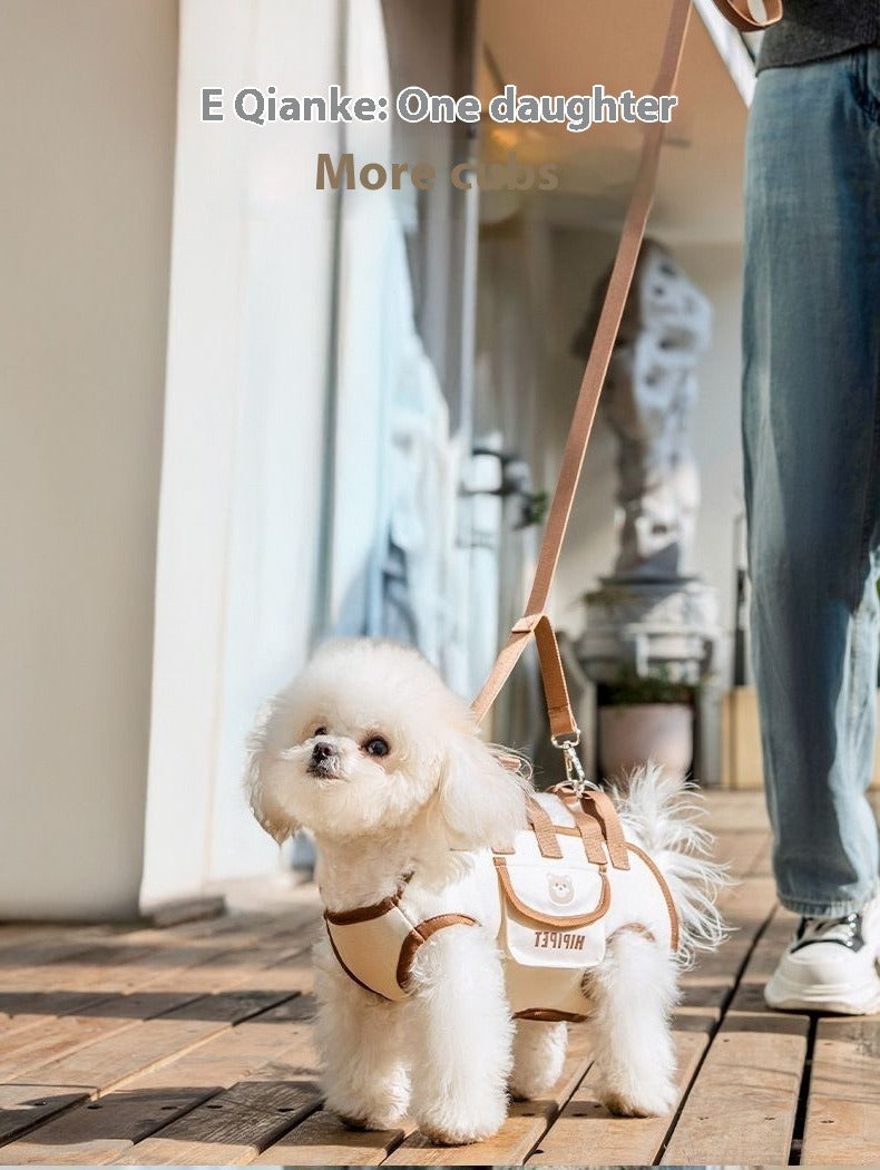 Portable Crossbody Pet Carrier Handbag