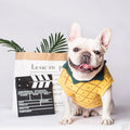 Dog Apparel Collection for Stylish Pets